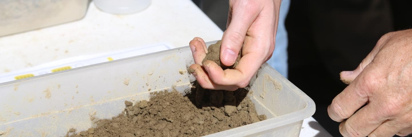 A hand holds a clump of brown soil over a tray of soil.